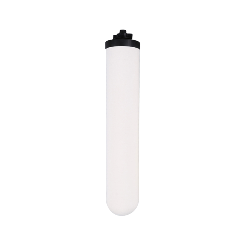 RH, TC10A2 Cande Ceramic aqua filter cartridge