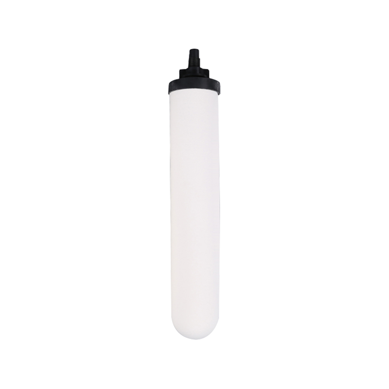 RH, TC10A1 aqua filter cartridge